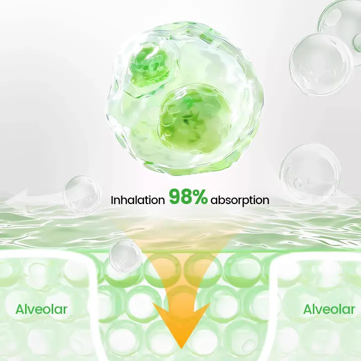 Natravor® Pulmovia Quercetin Lung Detox Inhaler