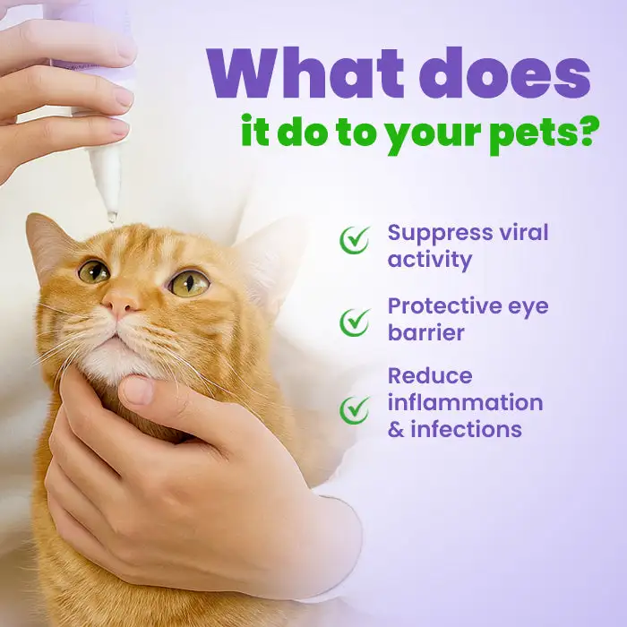 ⏱️ Fast Results 🌟 Official Store | Cvreoz® PetPro Eye Drops