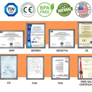 Cvreoz® 🌿🌿 GLP-1 Health Patch 🔥 Limited Edition Packaging with 70% Discount! 🔥 (Suitable for long-term use or use during any endurance activity)