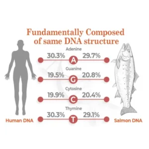 flysmus™ BioRegen PDRN Salmon DNA Ampoule