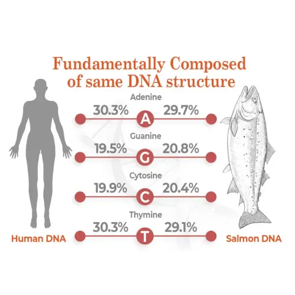 flysmus™ BioRegen PDRN Salmon DNA Ampoule