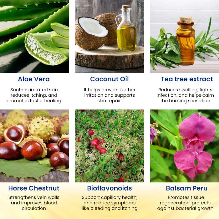 🏷️ EXCLUSIVE DEAL! 50% OFF - Cvreoz® Herbal Hemorrhoid Treatment Anal Spray