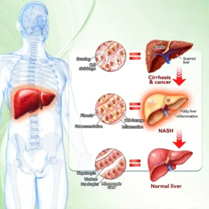 NATRAVOR® ðŽðððððððð ðµððð ðŽðððððððð
ðð ð·ðððððºðž(ðð®ð¬ð ðšð§ðð ð ððð², ð¯ð¢ð¬ð¢ðð¥ð ðð¡ðð§ð ðð¬ ð¢ð§ ð ððð²ð¬ïŒðœðð§ððð§ðð£ð + ðð€ð§ðð£ðð ðð€ð§ð¢ðªð¡ð â
ð
ðšð« ðšððð¬ð¢ðð², ððŒðŒðð² ððžð¶ð»,ðð¢ðððððð¬, ð¬ð¥ððð© ðð©ð§ðð, ð£ðšð¢ð§ð ð¢ð¬ð¬ð®ðð¬, ðð§ð ðŠðšð«ð ð¥ð¥