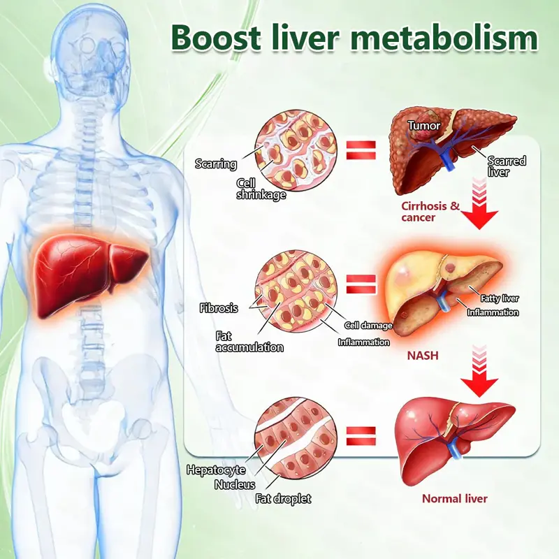 𝐎𝐟𝐟𝐢𝐜𝐢𝐚𝐥 𝐒𝐭𝐨𝐫𝐞 🇺🇸 | Natravor® 10-in-1 Berberine x Moringa Advanced Nano Microneedle Patch – Daily, Visible Results in 7 Days ✅ For Weight, Skin, Diabetes & Joint Health 🗽