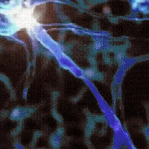 BUY 5 GET 3 FREE🔥🔥 Vitality Spray For Men 🍆 Powerful Erections in Just 3 Minutes! | Powered by NATRAVOR®