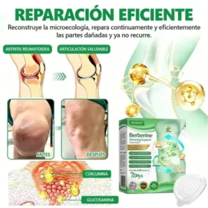 RISARISA® 𝐏𝐚𝐫𝐜𝐡𝐞 𝐝𝐞 𝐌𝐢𝐜𝐫𝐨𝐚𝐠𝐮𝐣𝐚𝐬 𝐍𝐚𝐧𝐨 𝐝𝐞 𝐍𝐀𝐃+ 𝐲 𝐁𝐞𝐫𝐛𝐞𝐫𝐢𝐧𝐚 – 𝐑𝐞𝐦𝐨𝐝𝐞𝐥𝐚𝐜𝐢ó𝐧 𝐂𝐨𝐫𝐩𝐨𝐫𝐚𝐥