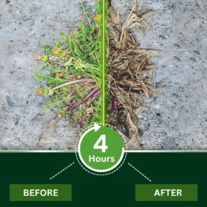 🌿 Cvreoz® 2-in-1 Weed Killer | Same-Day Results & Kills Roundup-Resistant Weeds