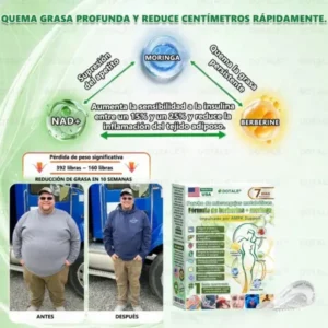 𝑫𝑶𝑻𝑨𝑳𝑬® Parche de Microagujas Nano Avanzado 10 en 1 con Moringa Berberina y NAD+